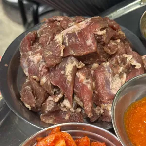 마포 갈매기 사진