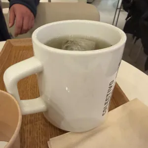 콜렉티보 롯데백화점 사진