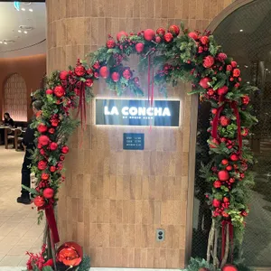 라콘차 리뷰 사진