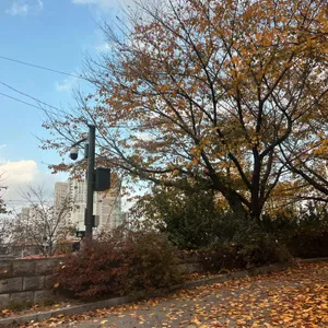 파크프리베 대표 사진