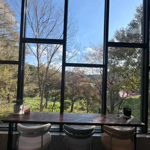 터치오브클래스 리뷰 사진