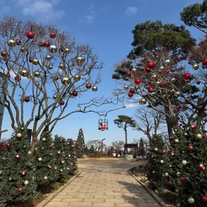 해어름베이커리 리뷰 사진