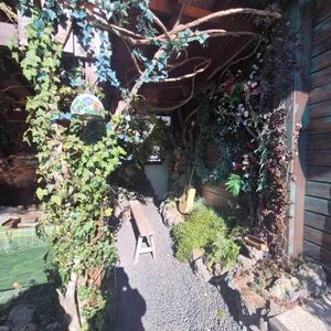 방콕산장 리뷰 사진