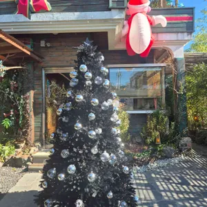 방콕산장 리뷰 사진