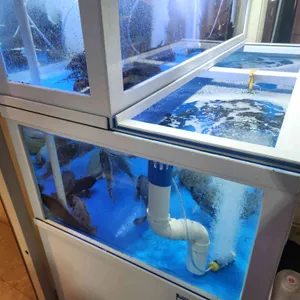 고등어다찌 리뷰 사진