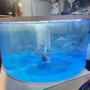 고등어다찌 리뷰 사진