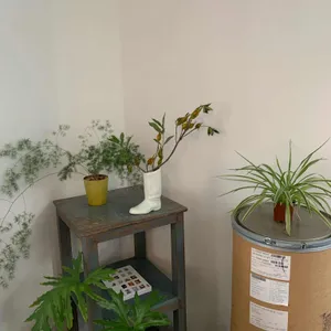 이지지 커피 리뷰 사진