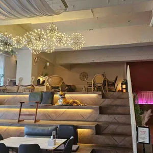 카페252 리뷰 사진