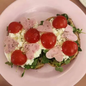 비테 도산 사진