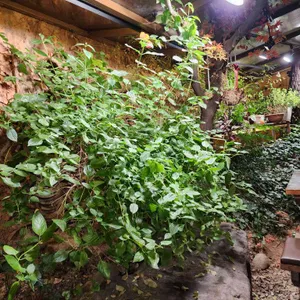 마당족발 리뷰 사진