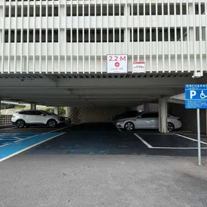 모이핀 리뷰 사진