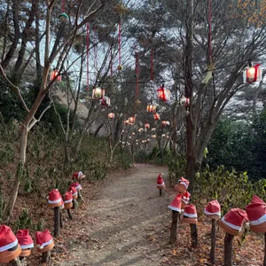 루몽드917 리뷰 사진