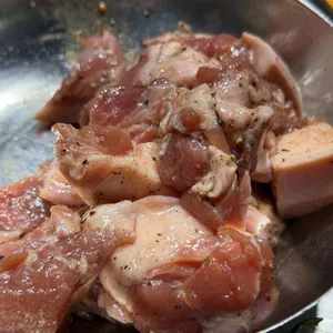 갈매기의꿈 사진