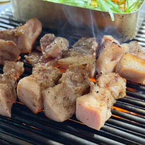 갈매기의꿈 사진