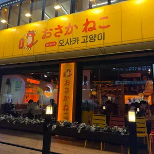 오사카고양이 사진 1