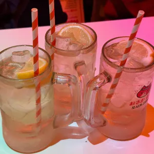 오사카고양이 사진