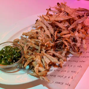 오사카고양이 사진