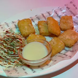 오사카고양이 사진