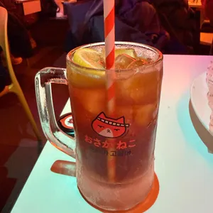 오사카고양이 사진