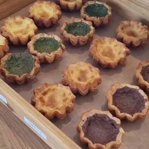 콜프로스터스 사진