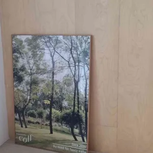 콜프로스터스 리뷰 사진