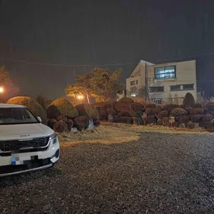 샤브락 리뷰 사진