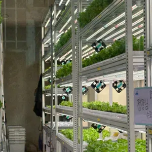 리브팜 리뷰 사진