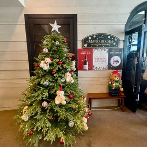 마노디셰프 리뷰 사진