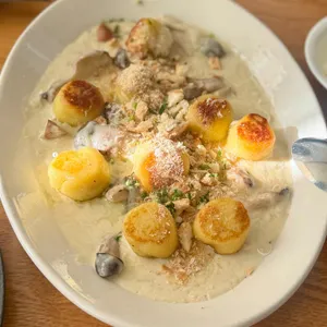 마노디셰프 사진