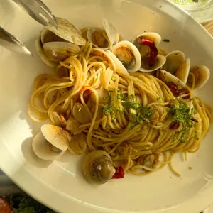 마노디셰프 사진