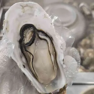 굴한마당 대표 사진