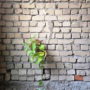 413프로젝트 리뷰 사진