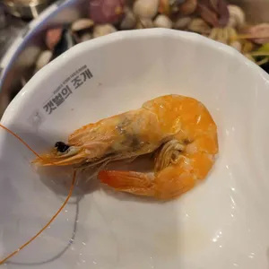 갯벌의조개 사진