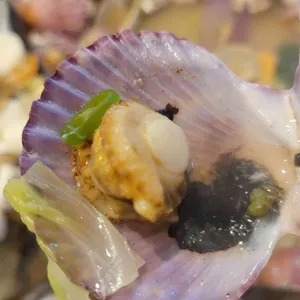 갯벌의조개 사진