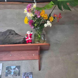 이더리 리뷰 사진