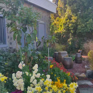 이더리 대표 사진