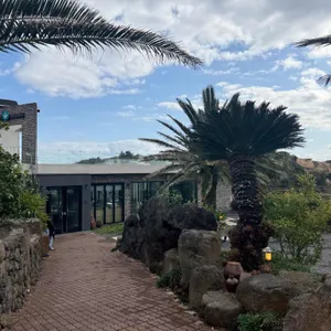 소색채본 리뷰 사진