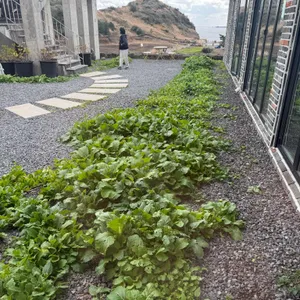 소색채본 리뷰 사진