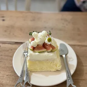 크리미데이지 사진 1