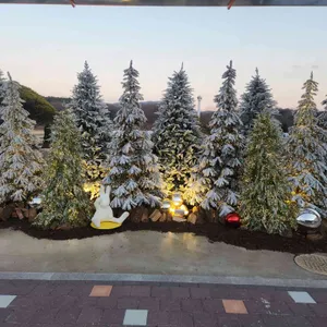 바타니 리뷰 사진