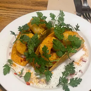 포도포포도도 사진