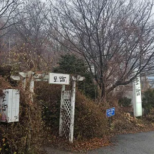 모밥 리뷰 사진