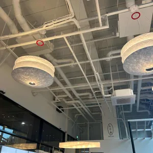 로와이드 리뷰 사진