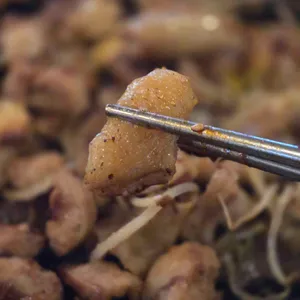 곱창가 리뷰 사진