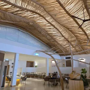 자투라 리뷰 사진