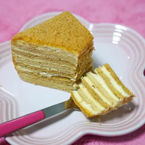 러시아 케익 사진