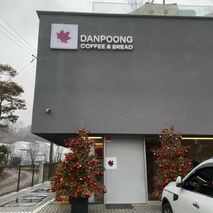 단풍 리뷰 사진