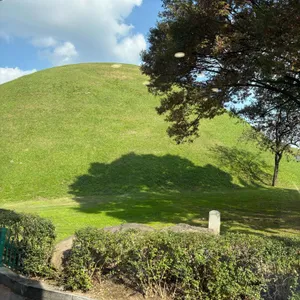 데네브 리뷰 사진