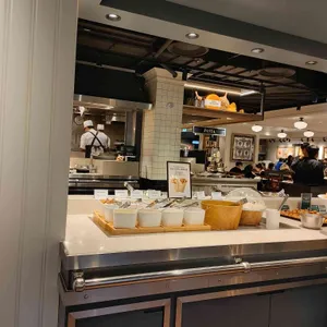 애슐리퀸즈 사진