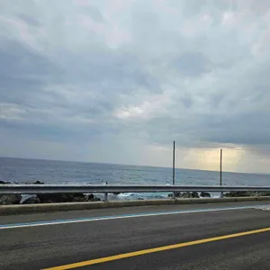 태왕대게회 리뷰 사진